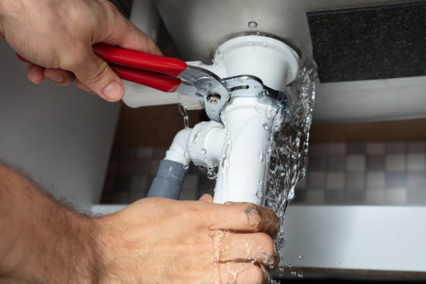 Best Water damage cleanup near me  in Berea, OH