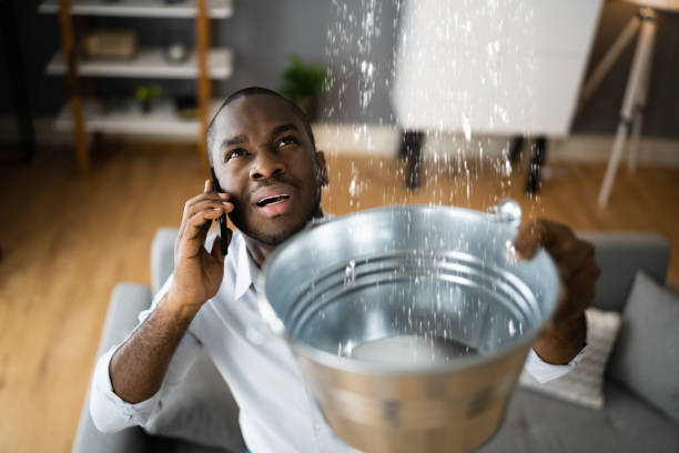 Best Ceiling water damage repair  in Berea, OH