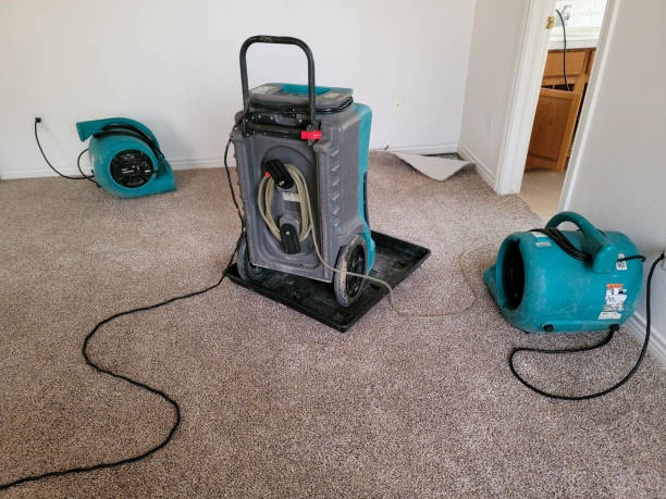 Best Water damage restoration process  in Berea, OH