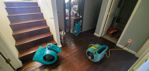 Best Basement water damage restoration  in Berea, OH