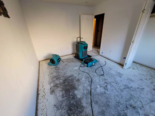 Best Mold removal after water damage  in Berea, OH