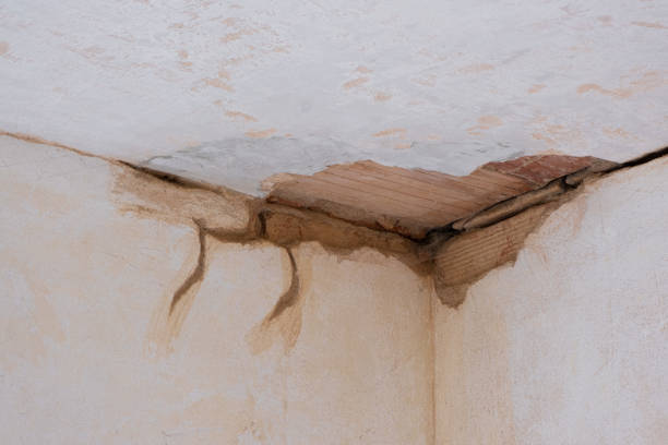 Best Carpet water damage restoration  in Berea, OH