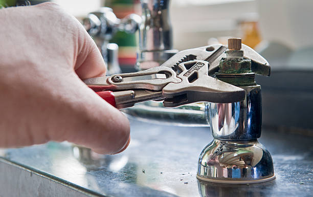 Best Local water damage restoration  in Berea, OH