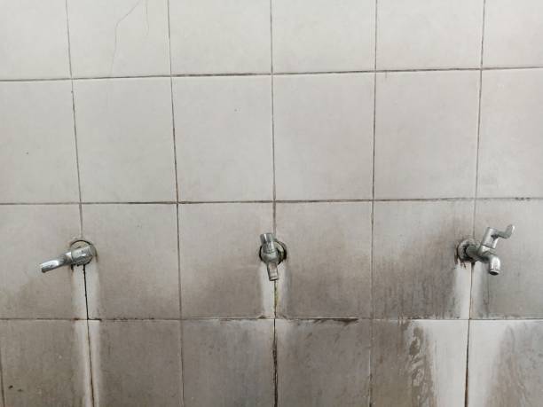 Best Sewage cleanup and water damage restoration  in Berea, OH