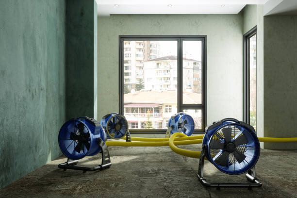 Best Water damage restoration experts  in Berea, OH